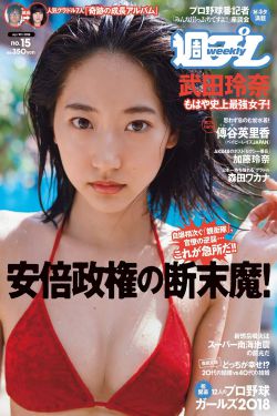 电视剧女婿难当